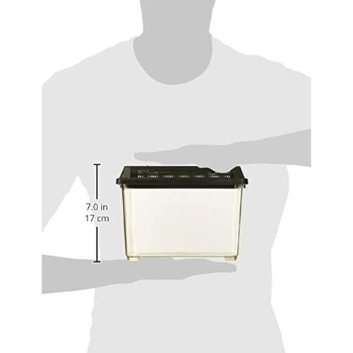 Faunarium für lebende Insekten