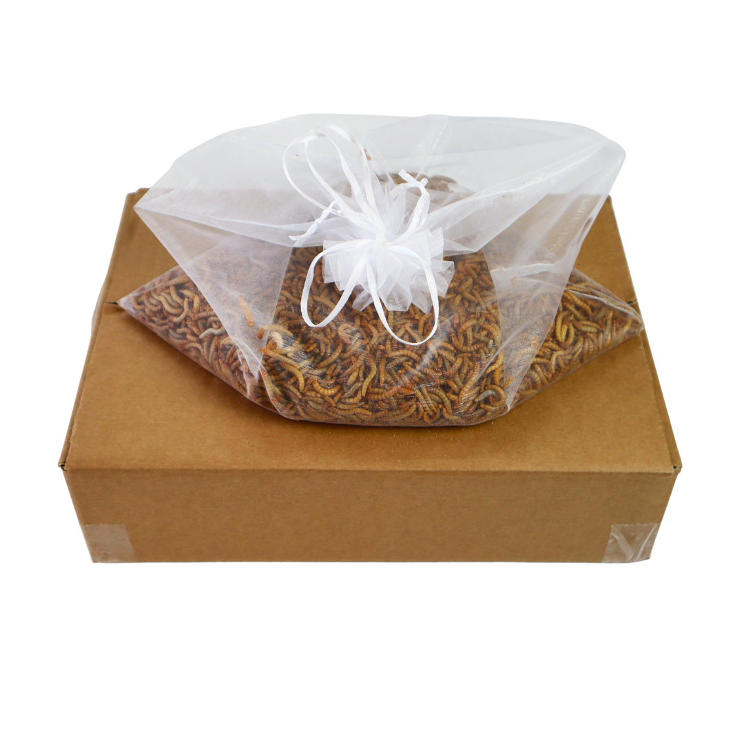 Bio Mehlwurm, 1000g, lebend