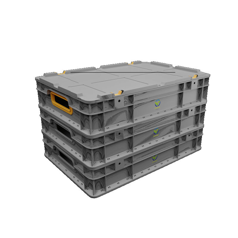 OFERA Insect Mehlwurmfarm, Komplettset inkl. 0,5 kg Mehlwürmer, 2kg Vitaminfutter im Eimer