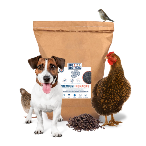 Premium Insnacks 750g