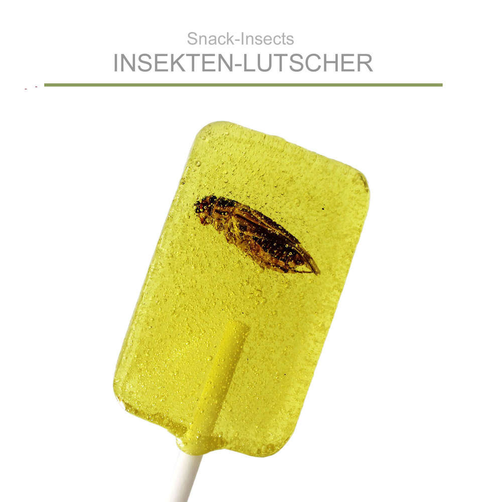 SNACK-INSECTS LUTSCHER mit Insekt im Kern 20g