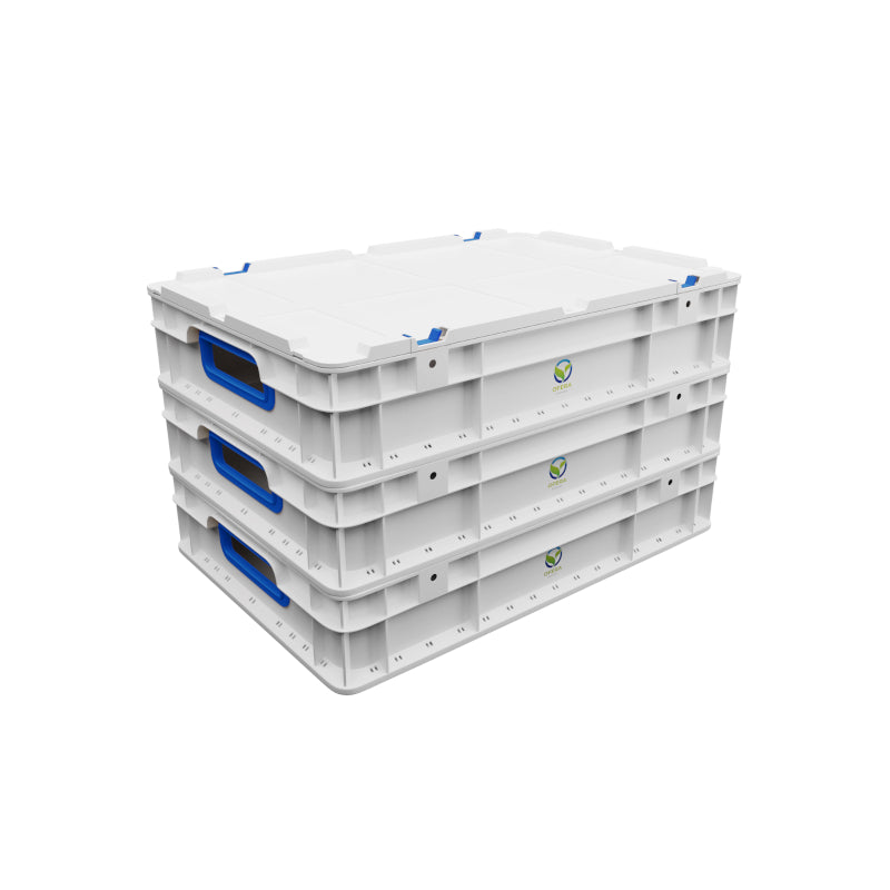 OFERA Insect Mehlwurmfarm, Komplettset inkl. 0,5 kg Mehlwürmer, 2kg Vitaminfutter im Eimer