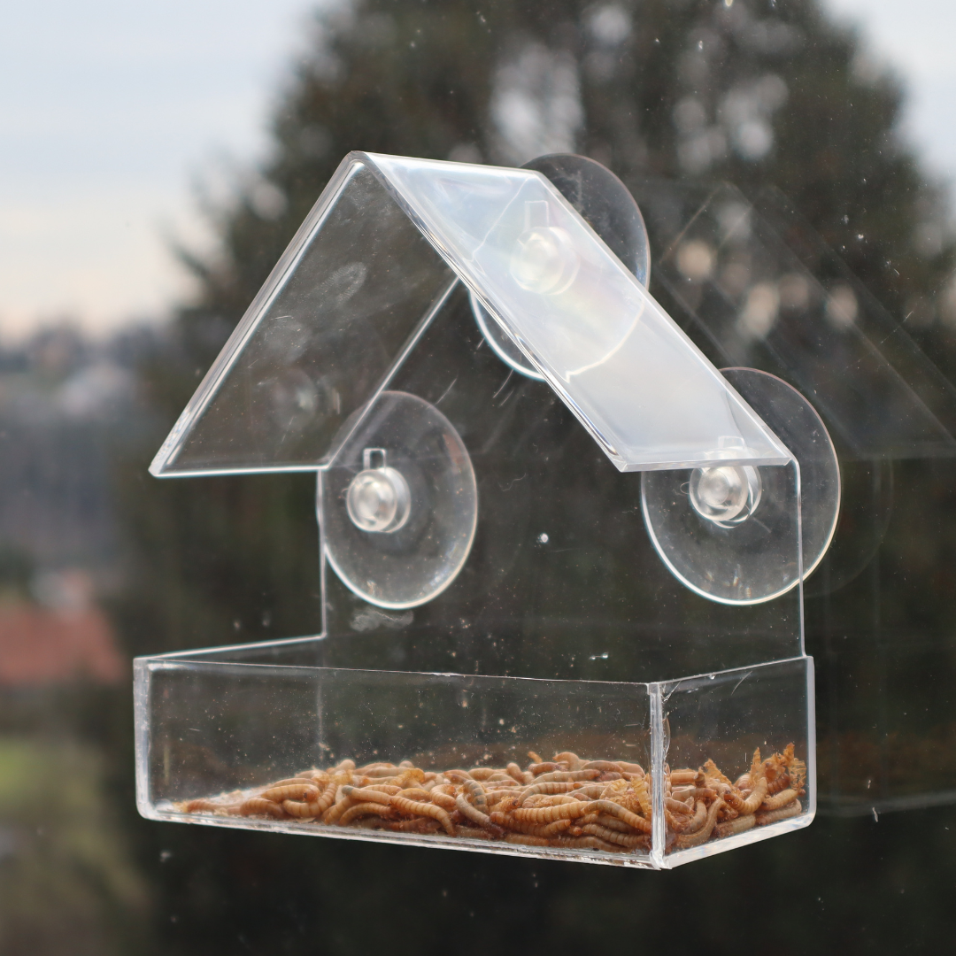 Vogelhilfe im ABO (nur für Österreich)